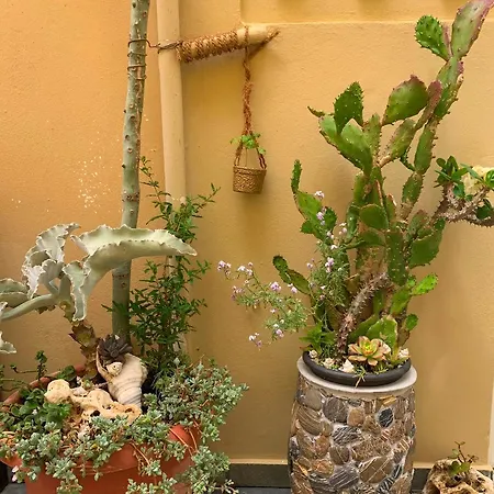 ερμής 3*